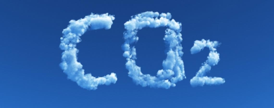 Consumo y Producción Sostenible , CO2